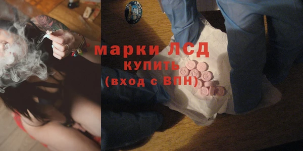 амф Гусь-Хрустальный