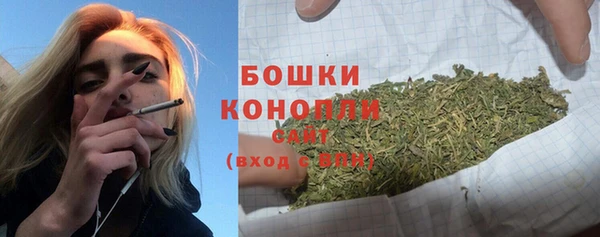 кокс Гусев