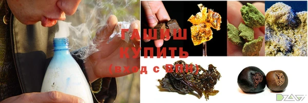 амф Гусь-Хрустальный