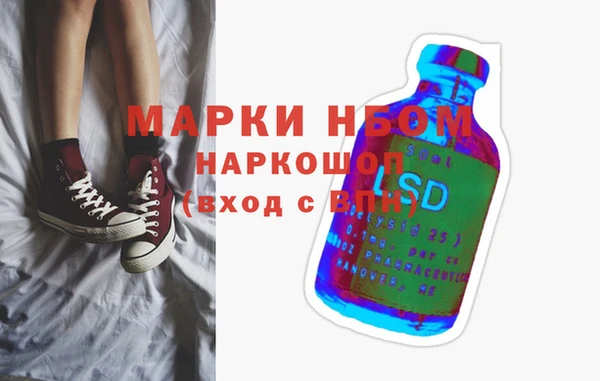 амф Гусь-Хрустальный