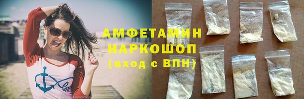 амф Гусь-Хрустальный