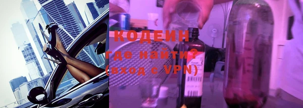 амф Гусь-Хрустальный