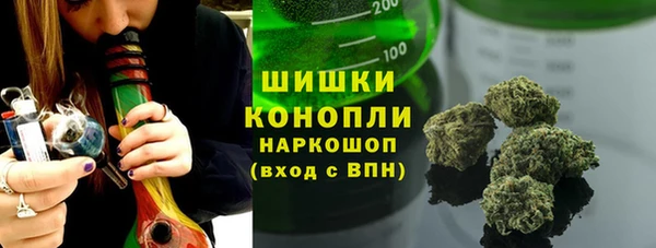 амф Гусь-Хрустальный
