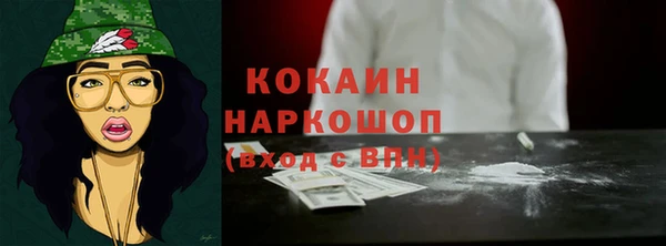 амф Гусь-Хрустальный