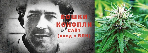 амф Гусь-Хрустальный