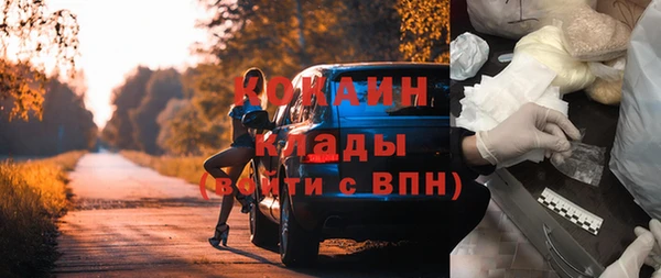 кокс Гусев