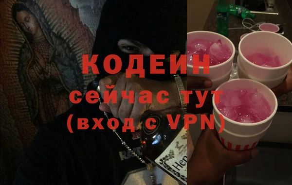 амф Гусь-Хрустальный
