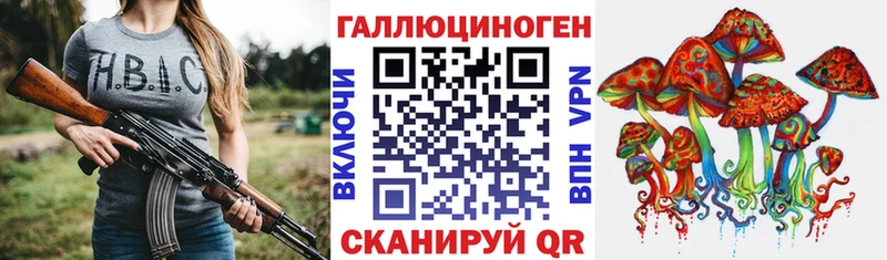 Псилоцибиновые грибы GOLDEN TEACHER  Шахты 